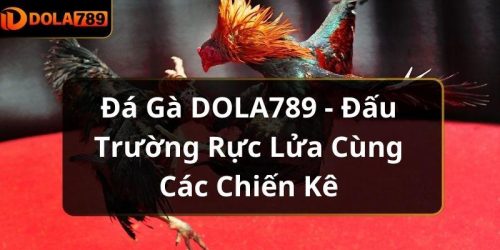 Đá Gà DOLA789 - Đấu Trường Rực Lửa Cùng Các Chiến Kê