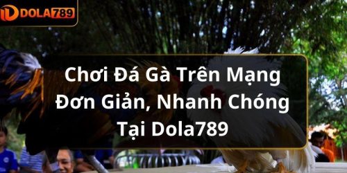 Chơi Đá Gà Trên Mạng Đơn Giản, Nhanh Chóng Tại Dola789