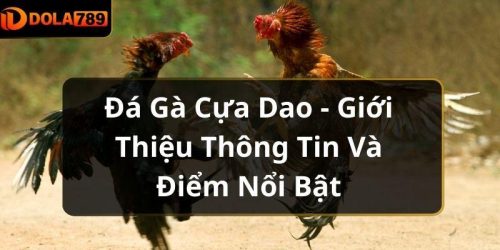 Đá Gà Cựa Dao - Giới Thiệu Thông Tin Và Điểm Nổi Bật