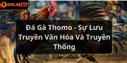 Đá Gà Thomo - Sự Lưu Truyền Văn Hóa Và Truyền Thống